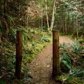 Two Posts Before the Falls