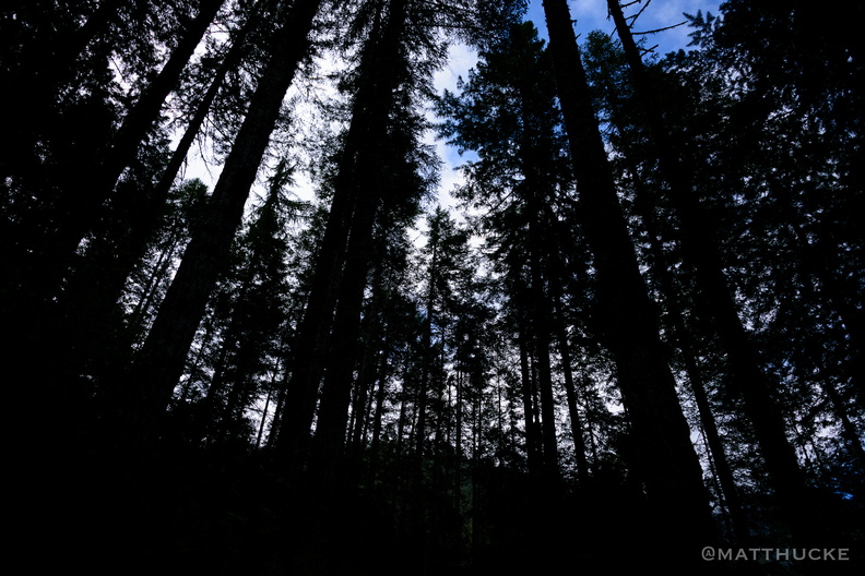 flickr-26333328006.jpg