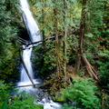 flickr-26264533692.jpg