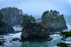 Cape Flattery