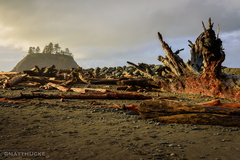 First Beach, La Push WA
