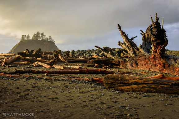 First Beach, La Push WA