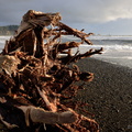 First Beach, La Push WA