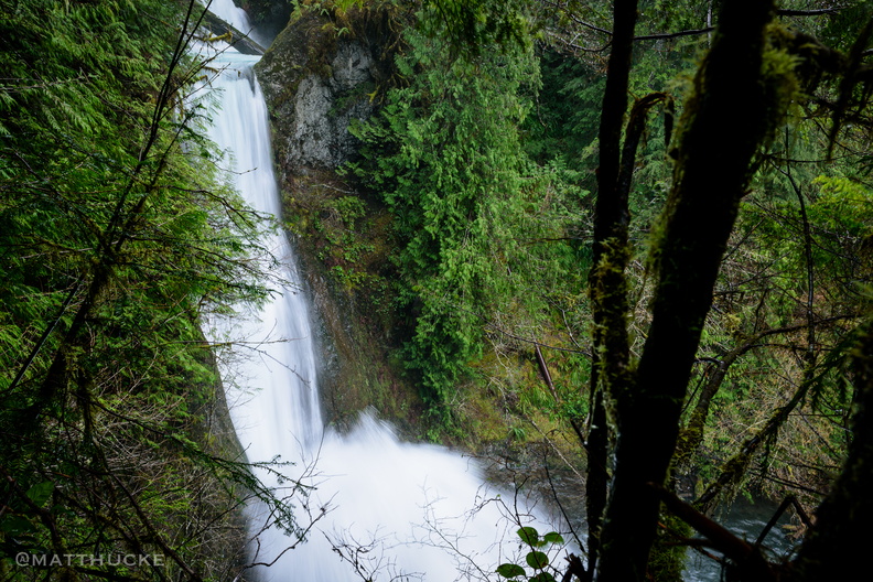 flickr-25499802210.jpg