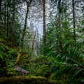 Spoon Creek Falls Trail