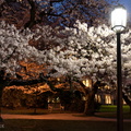 flickr-25514896212.jpg