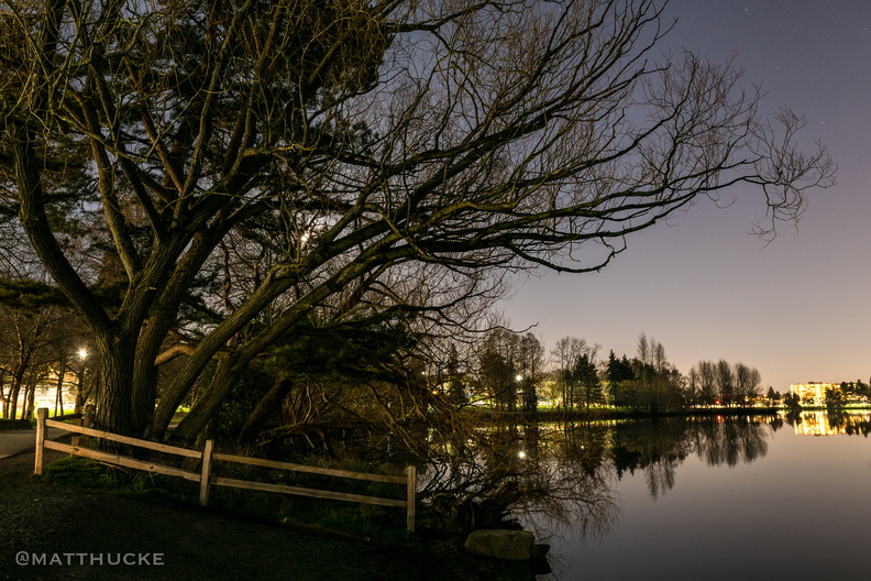 flickr-24867432789.jpg