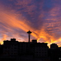 flickr-25144779366.jpg