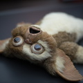Gremlin exhausted