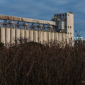 Grain & Needle