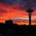 flickr-22687623753.jpg