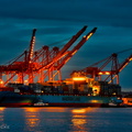 Container Ship Maersk Semakau