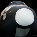 This is not a Space Shuttle.